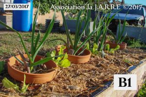 Bac B1 - jardin de Quartier - 27 mars 2017-2