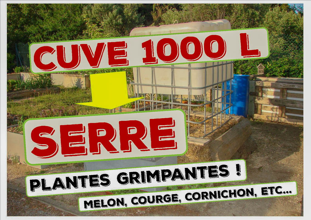 Une cuve de 1000 litres HS ré-employée en structure et serre pour cucurbitacées !