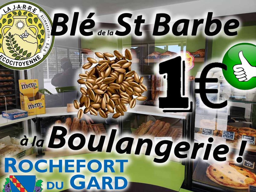 Blé de la Sainte Barbe à la Boulangerie de Rochefort-du-Gard
