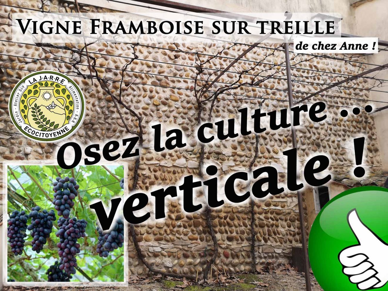 Osez la culture verticale sur treille