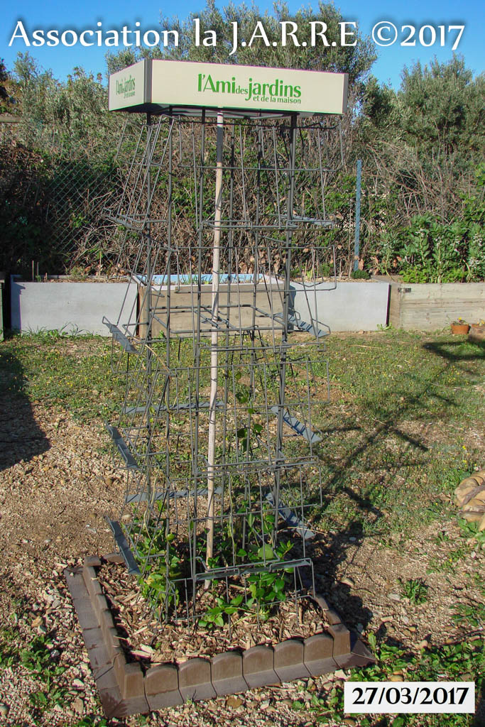 Ré utilisation d’un porte revues en structure pour plantes grimpantes