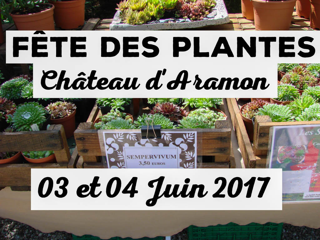 Fête des plantes à Aramon - 04 juin 2017