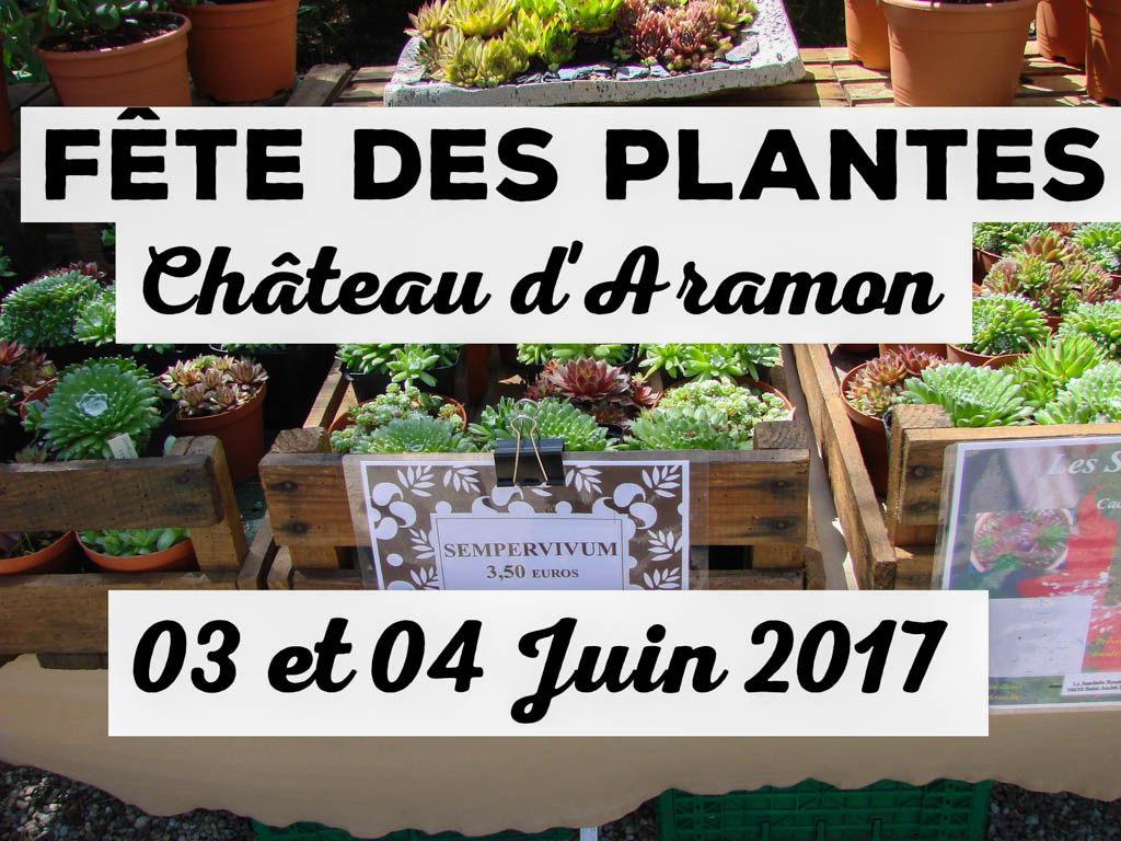 Fête des plantes à Aramon – 04 juin 2017