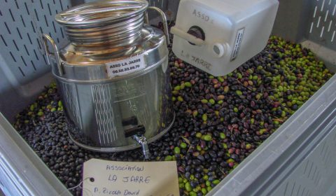 Palox huilier et les 109 kg olive - association la JARRE Écocitoyenne - 06-11-2017