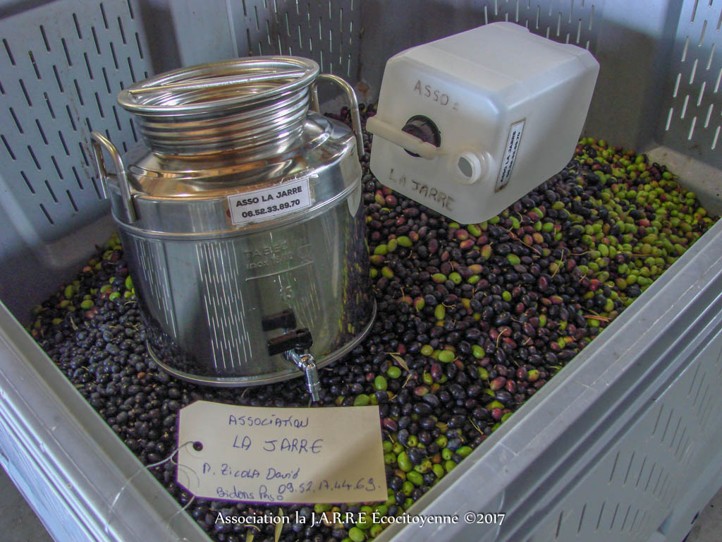 Palox huilier et les 109 kg olive - association la JARRE Écocitoyenne - 06-11-2017