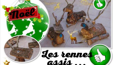 Rennes du Père Noël - assis en attente du traineau - Association la JARRE