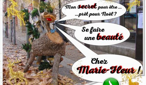 Le secret de beauté du renne de noël chez Marie-fleur à Rochefort du Gard - Association la Jarre écocitoyenne
