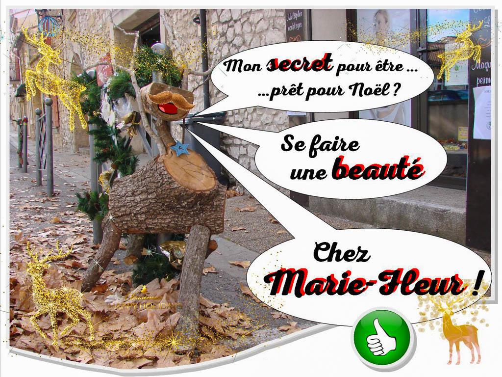 Le secret de beauté du renne de noël chez Marie-fleur à Rochefort du Gard - Association la Jarre écocitoyenne