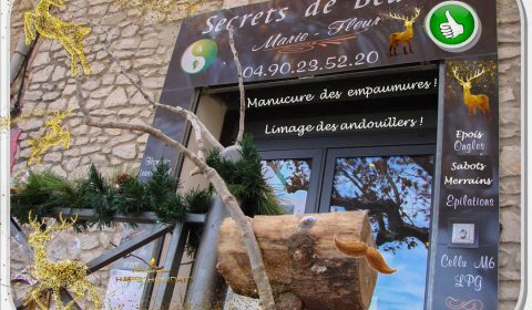 Se faire beau pour noël - les rennes foncent tous chez Marie-fleur - institut de beauté à Rochefort du Gard