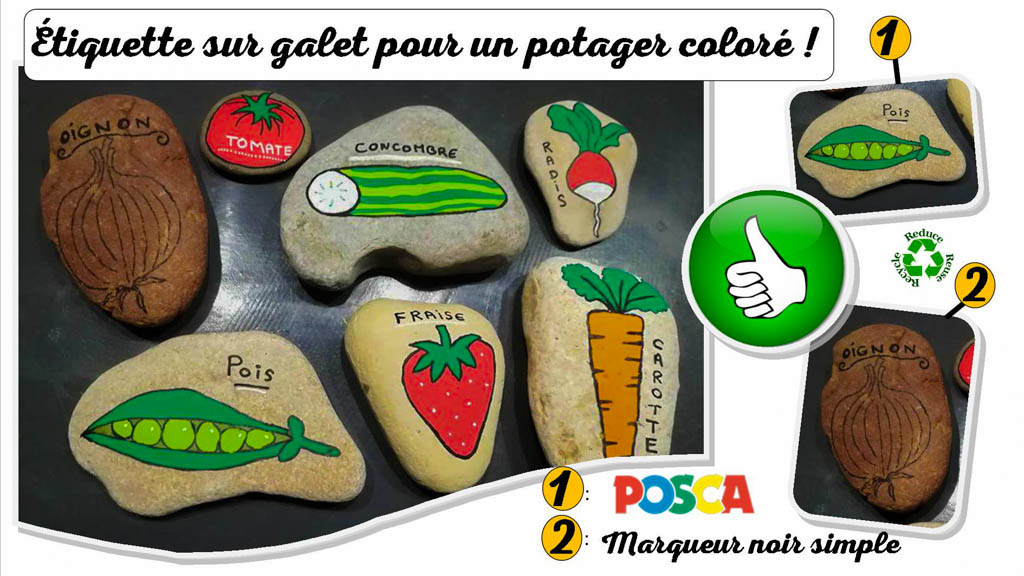 Étiquette potager : galet et marqueur – RRR et DIY