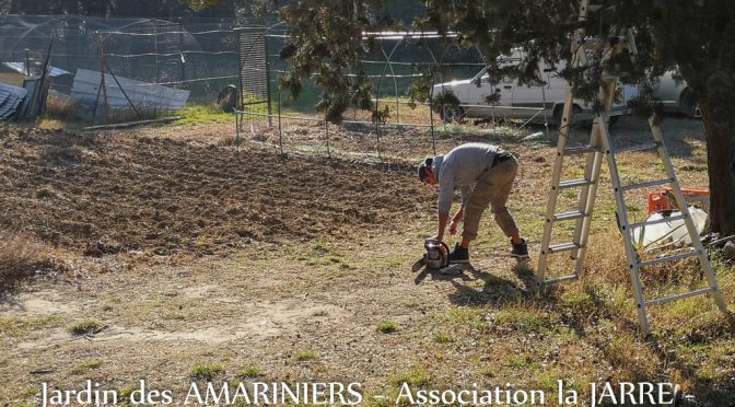 Mathieu Pasquier - Jardin communautaire des Amariniers - association la Jarre