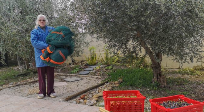 La palme de l’olivier le plus clafi 2019 va à Anne-Marie !