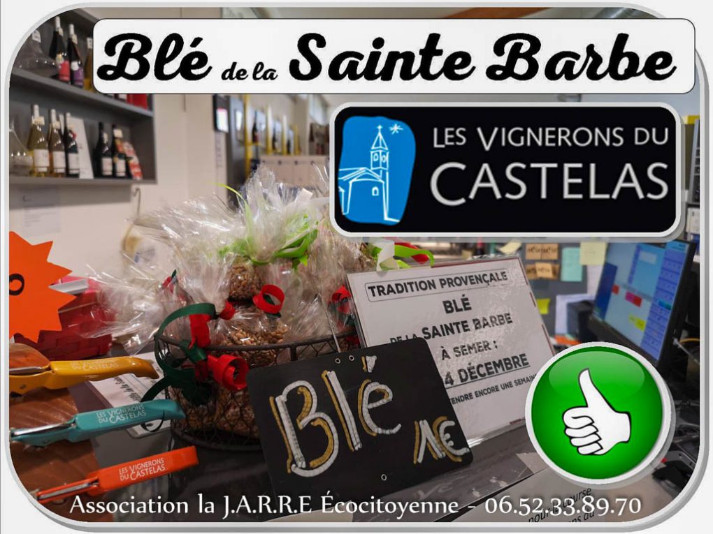 Cave Castelas - Blé sainte barbe - Rochefort du Gard