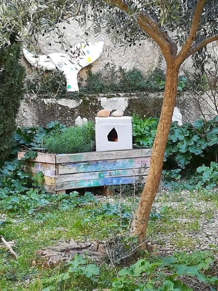 Mis en place des cabanes pour chats