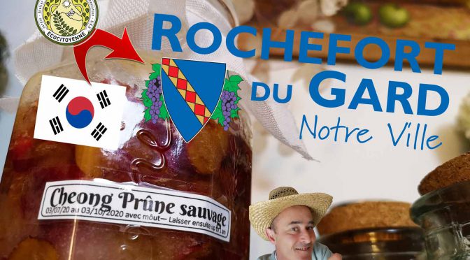 Prune sauvage rochefort du Gard -recette