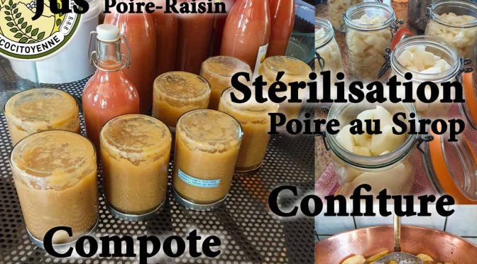 Ateleir autour de la poire - en jus - sirop -compote -confiture ou en tarte - association la jarre écocitoyenne