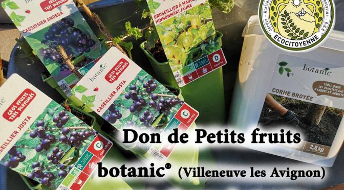 Don Petits fruits botanic® pour le jardin urbain du Pébrier