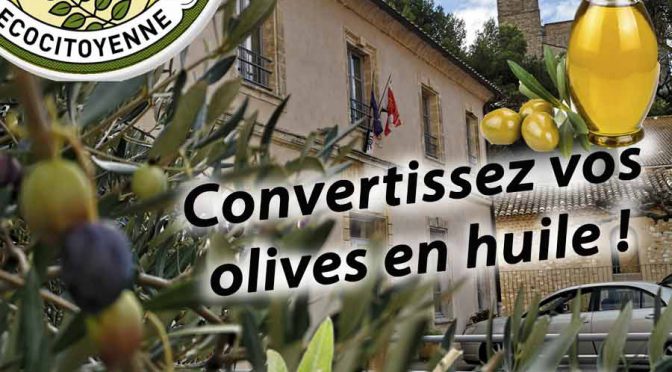 Récolte olive Rochefort du Gard Association La JARRE Écocitoyenne