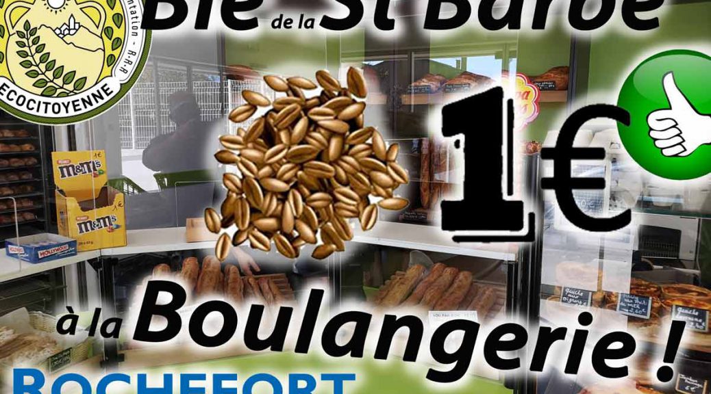 Blé de la Sainte Barbe à la Boulangerie de Rochefort-du-Gard