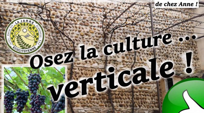 Osez la culture verticale sur treille