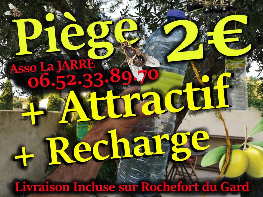 Piège maison pour lutter contre la mouche de la cerise et de l'olivier ->Association la JARRE Écocitoyenne