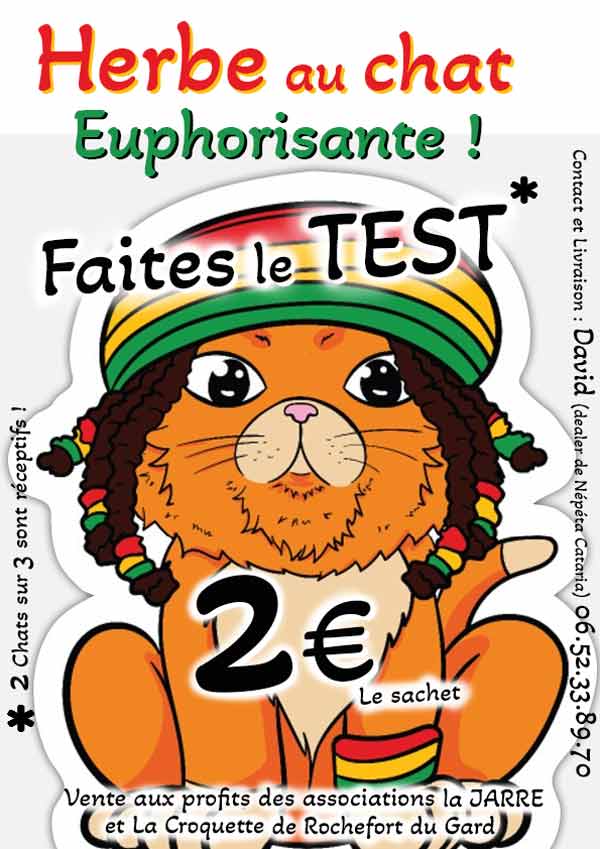 Vente herbe aux chats à Rochefort du Gard