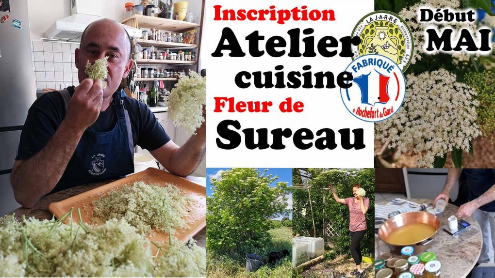 Atelier fleur de sureau - Asso la JARRE en Mai
