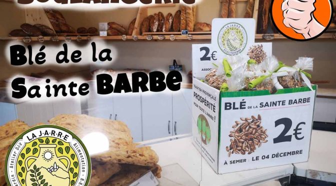 Où trouver du Blé de la sainte Barbe à Rochefort du Gard pour le 04-12-2024