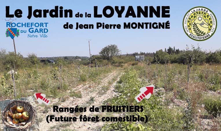 Jardin de la LOYANNE - PLantation de 2 haies fruitières - asso La JARRE à Rochefort du Gard
