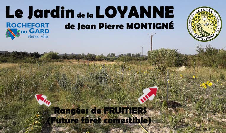Jardin de la LOYANNE - Jean Pierre MONTIGNÉ-asso La JARRE à Rochefort du Gard
