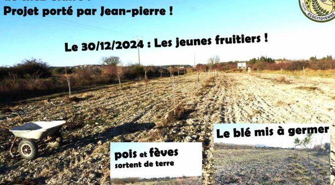 Quelques nouvelles du jardin de la loyanne