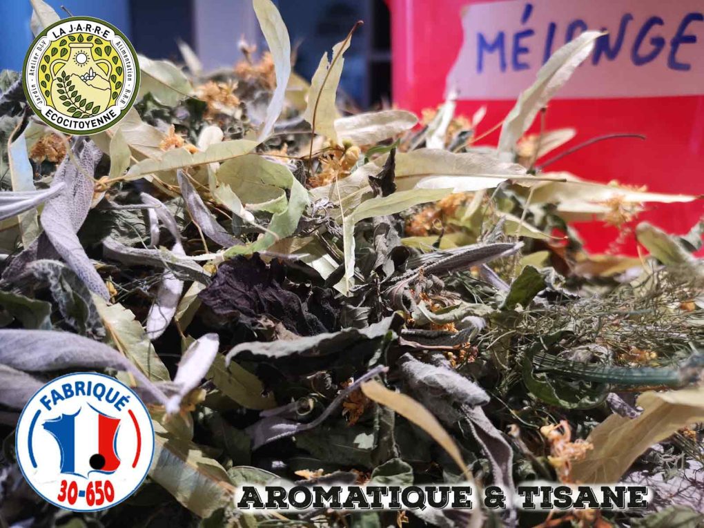 Séchage des aromatiques du jardin !