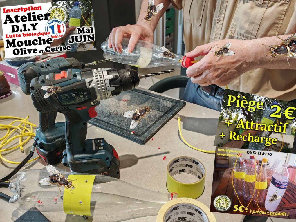 Atelier confection de piège de la mouche de l'olive par l'association la JARRE Écocitoyenne